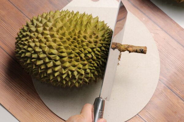 cut a durians